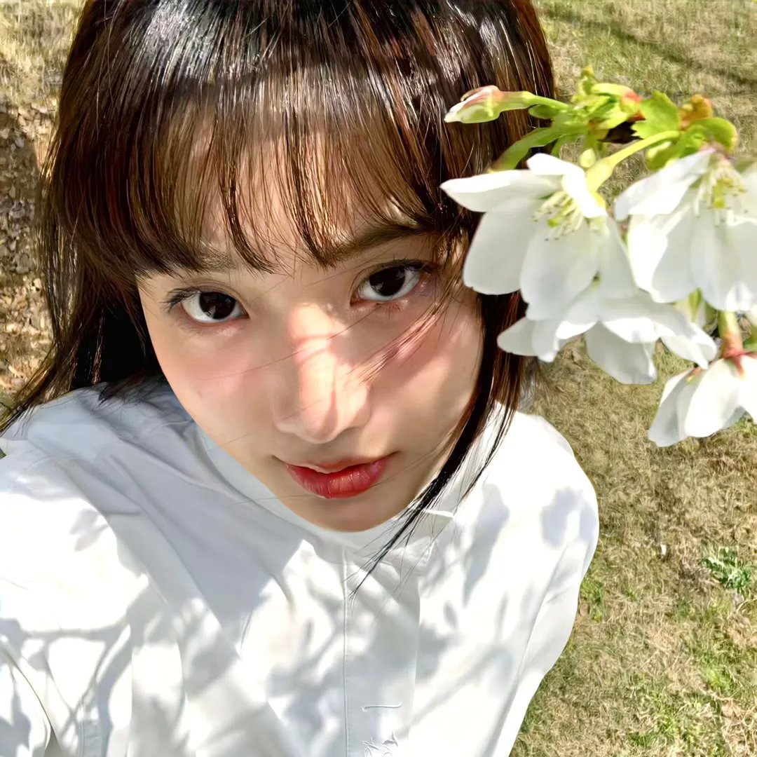 思君如故