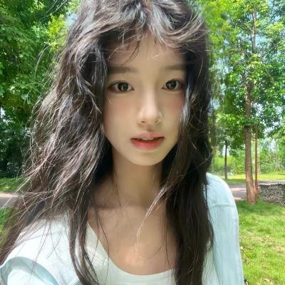夏日菊花茶